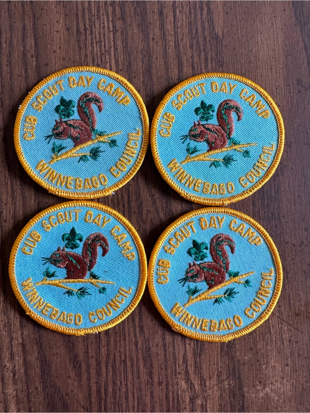 Vintage Cub Scout Day Camp Blue & Gold Patch Set of 4 Like New